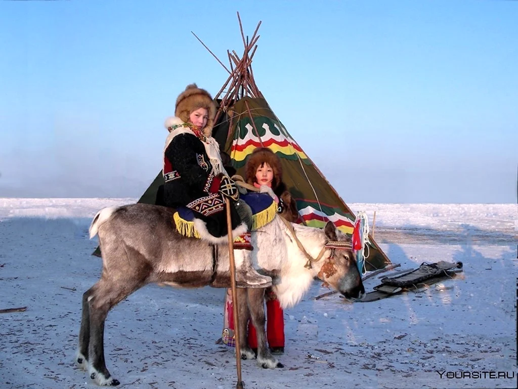 Чукчи ненцы Эскимосы