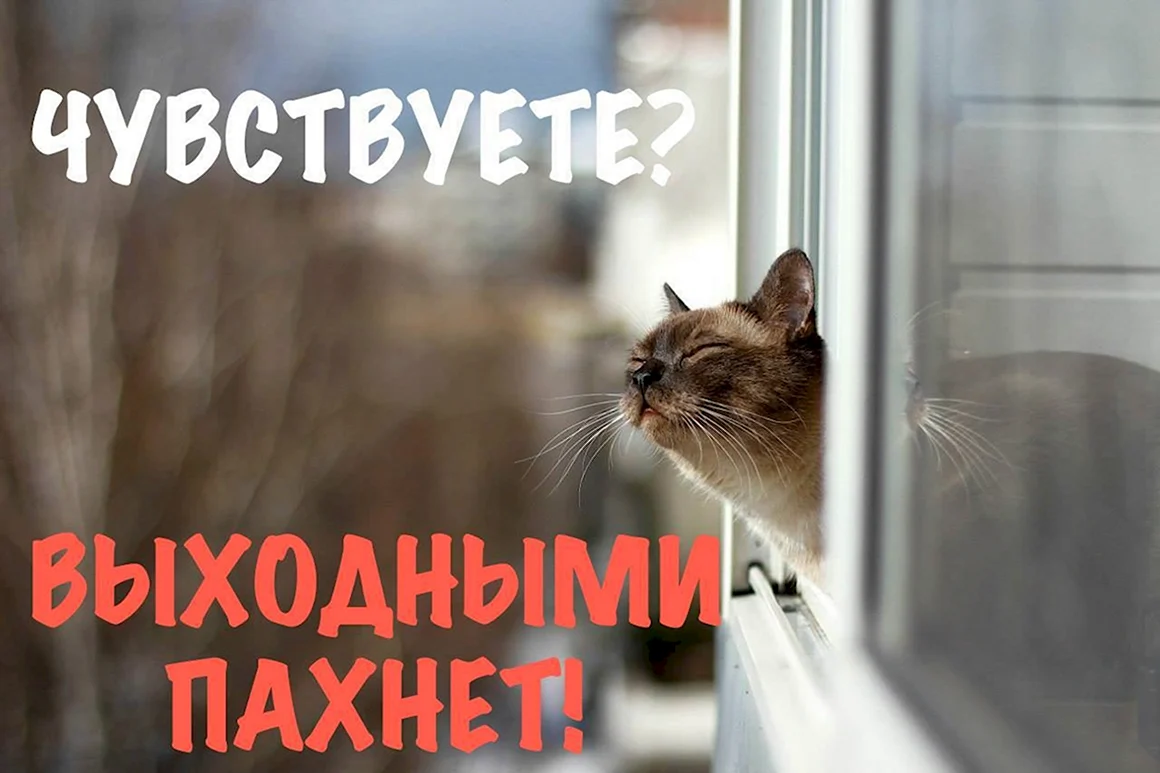 Чувствуете выходными пахнет