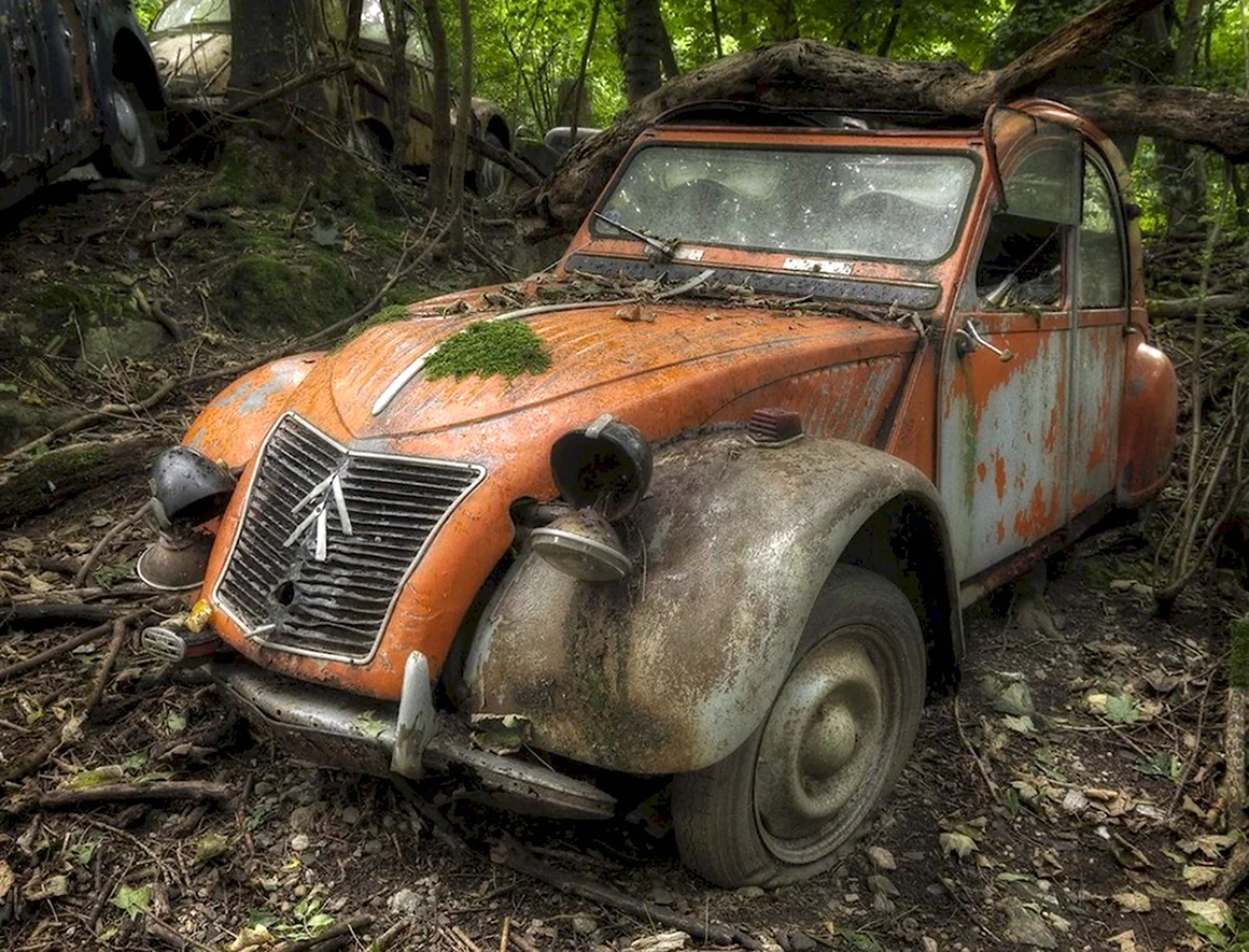 Citroen 2cv Ржавый