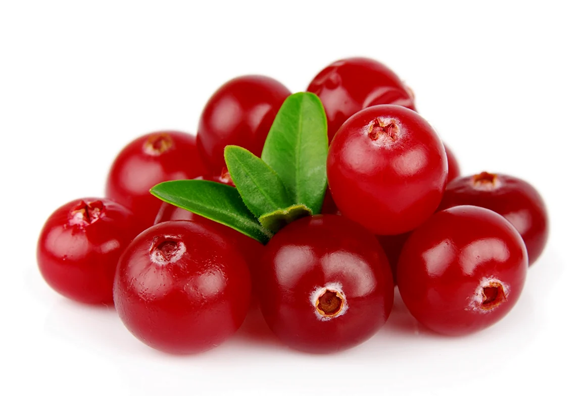 Cranberries ягода