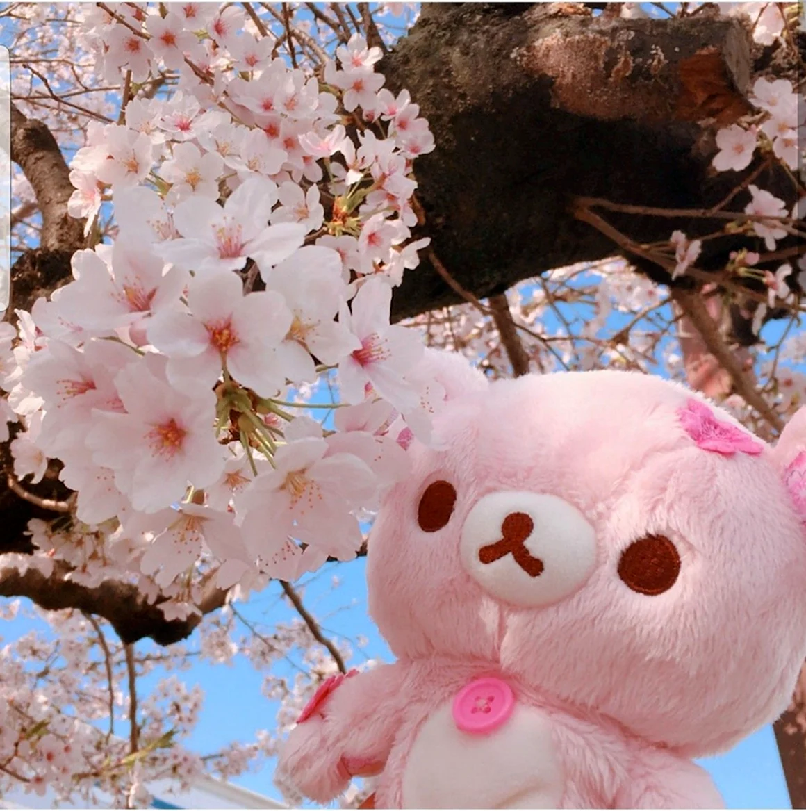 Cute aesthetic