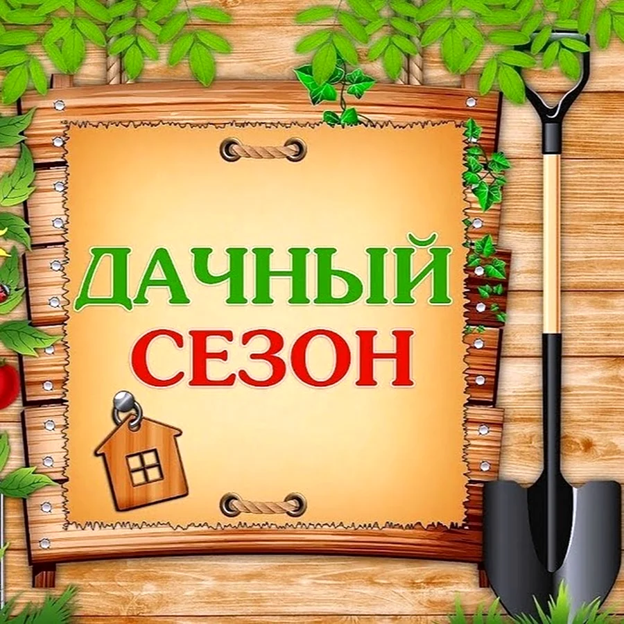 Дачный сезон