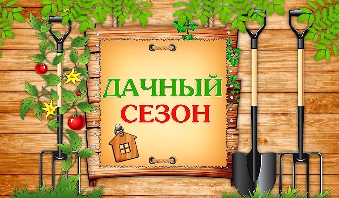 Дачный сезон