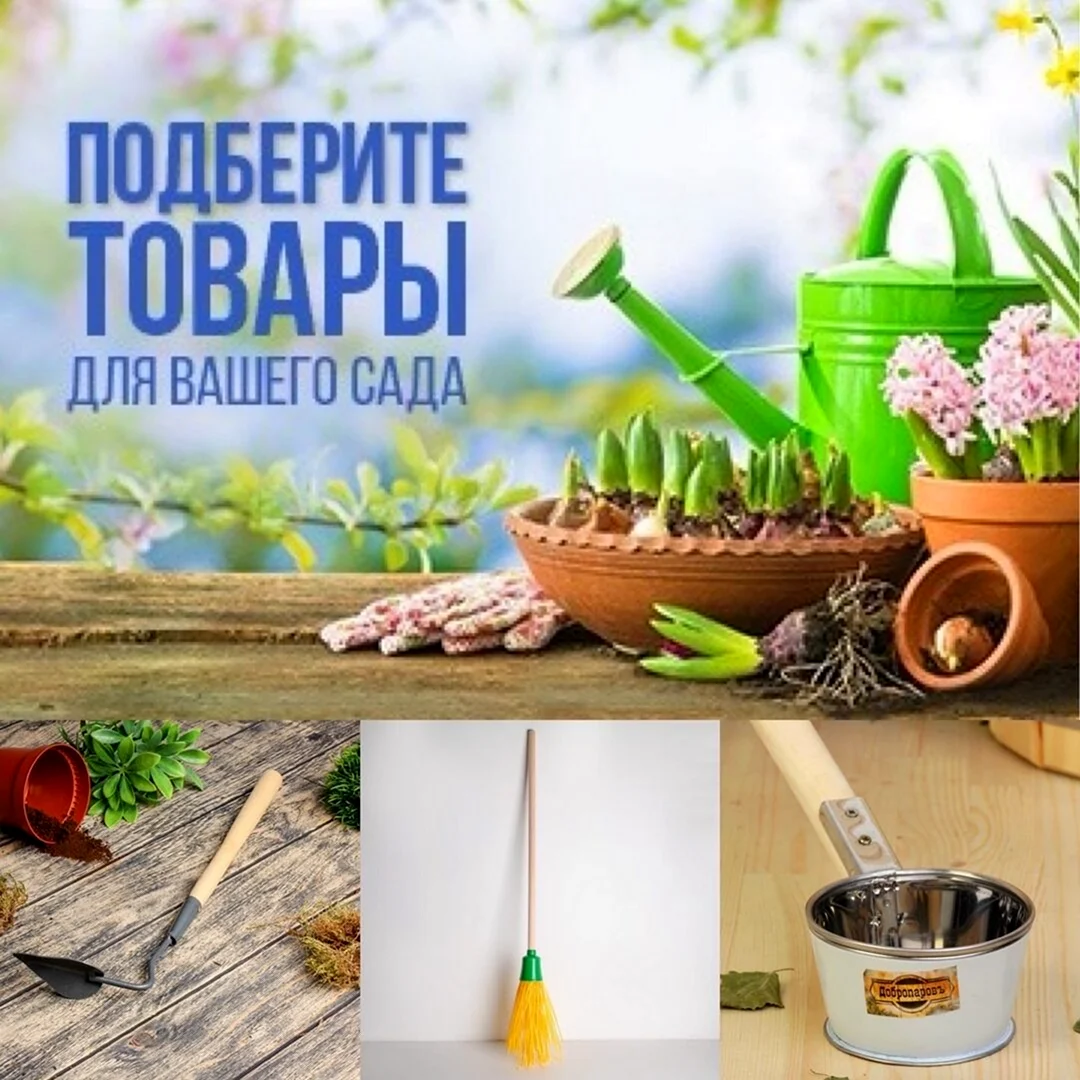 Дачный сезон не за горами