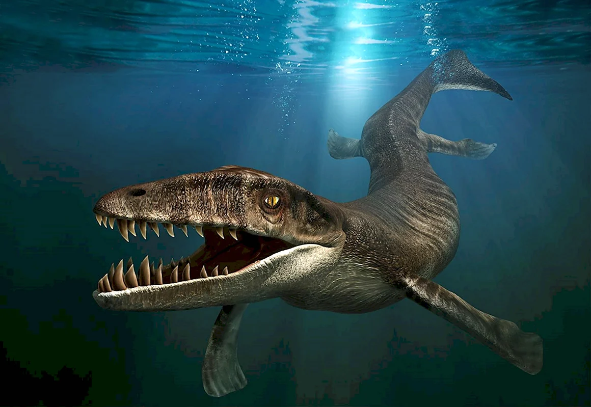 Дакозавр Dakosaurus