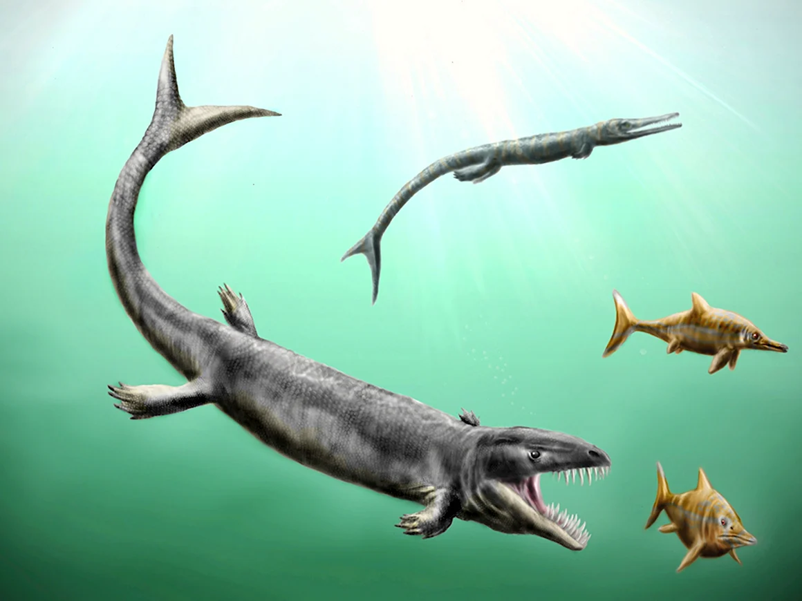 Дакозавр Dakosaurus