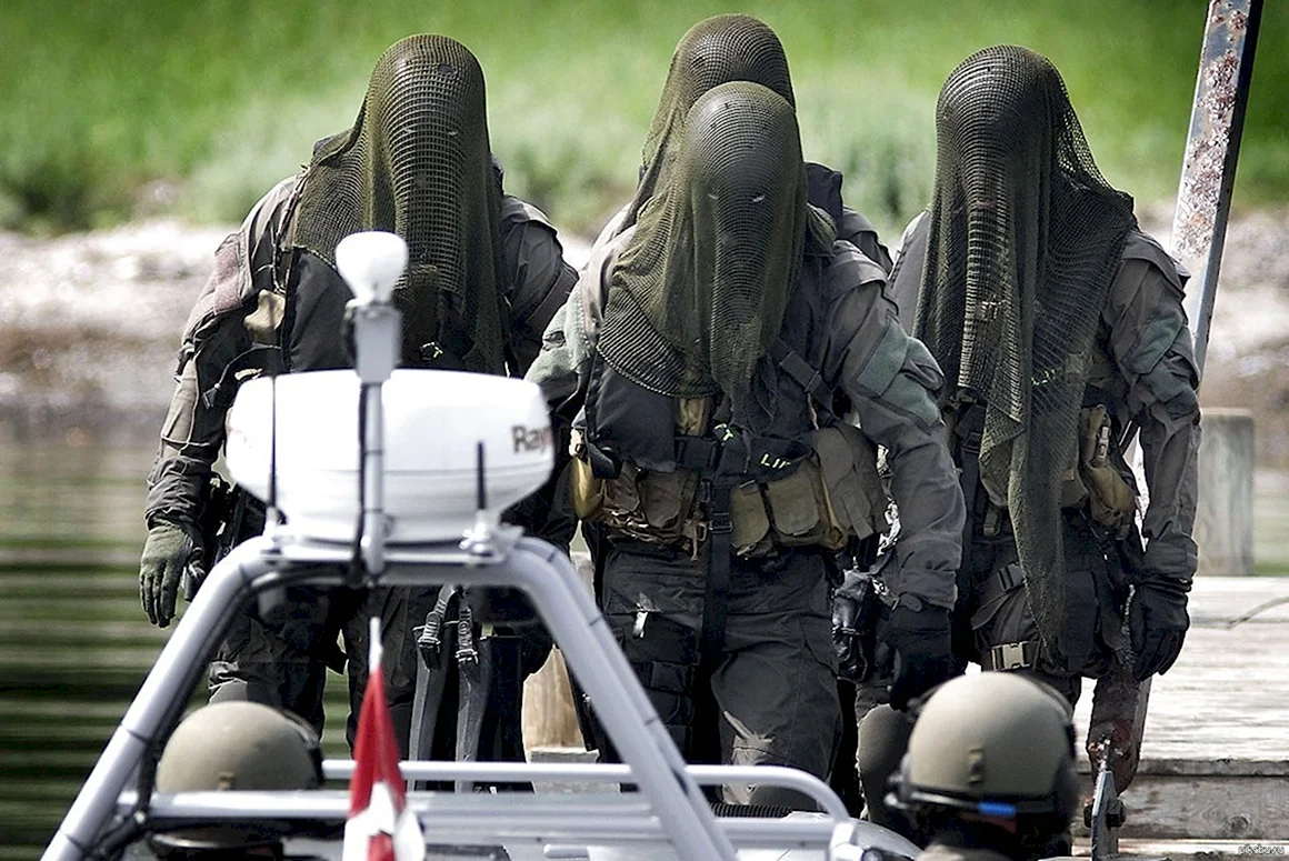 Датский спецназ Frogman Corps