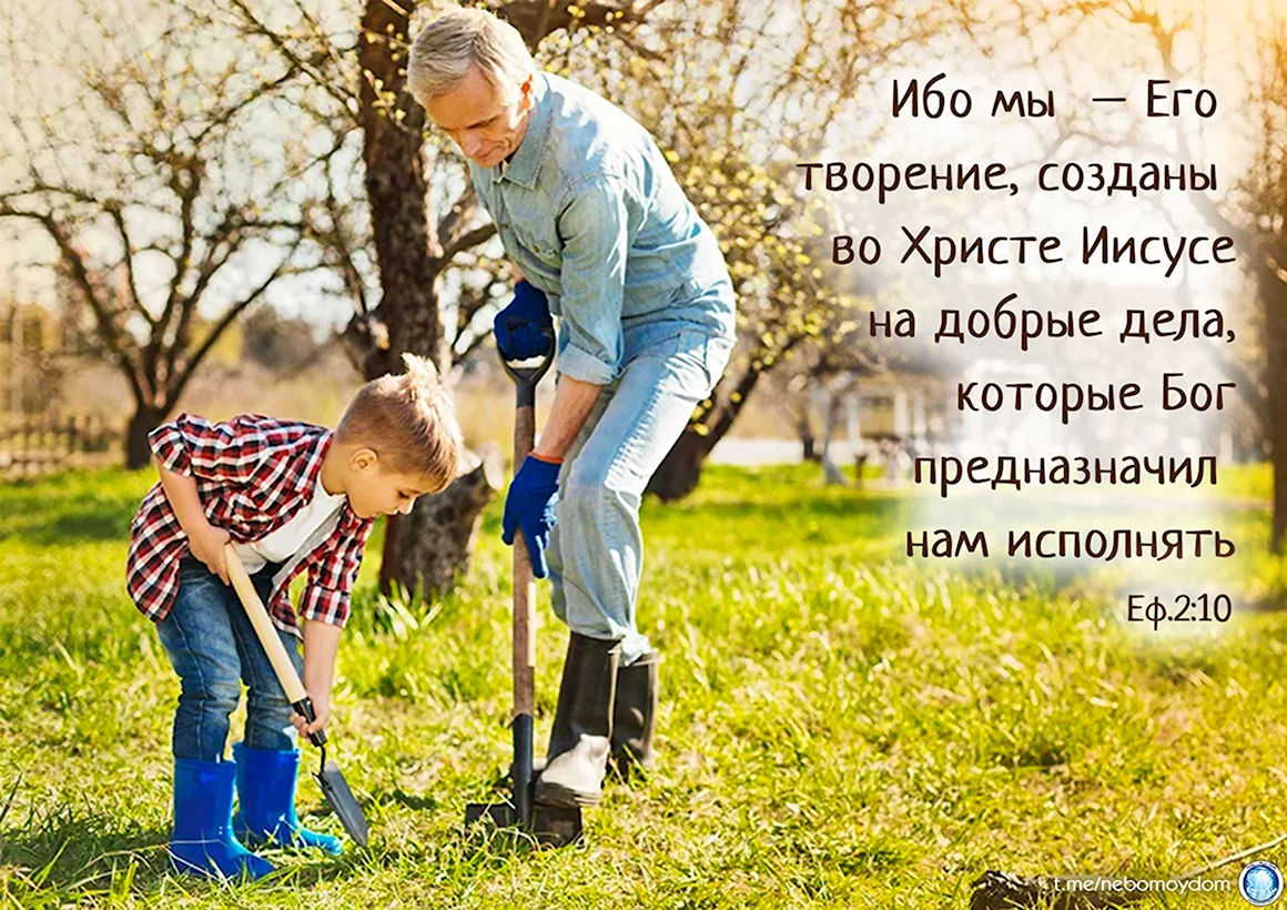 Дедушка и внук в саду