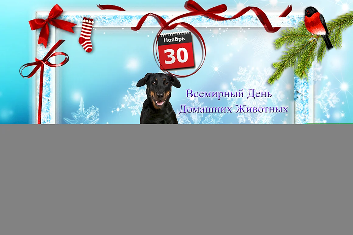 День домашних животных