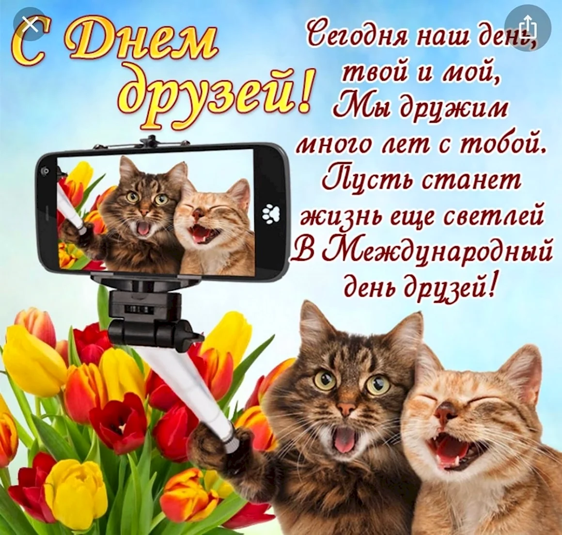День дружбы