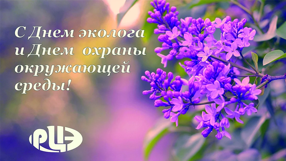 День эколога