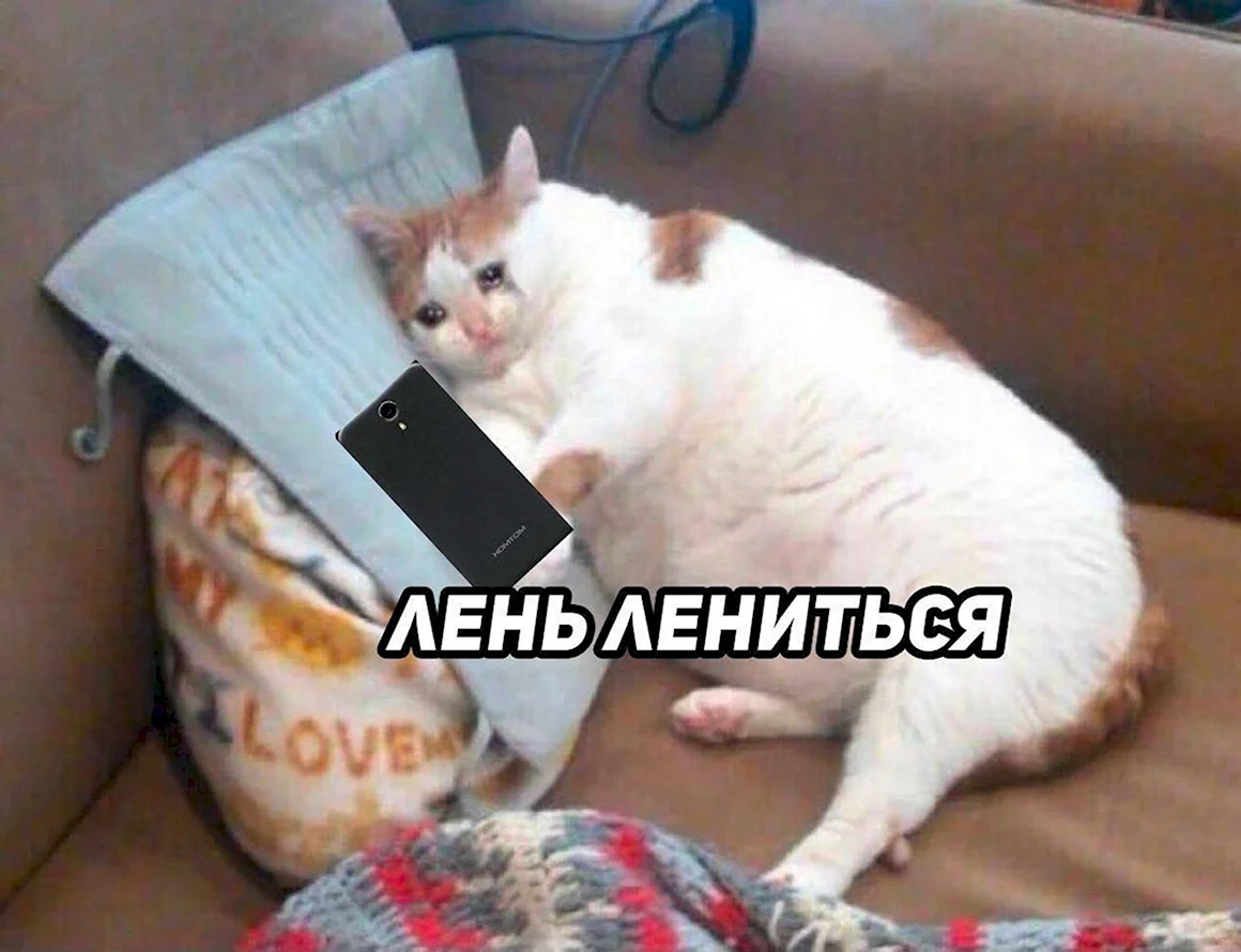 День лени