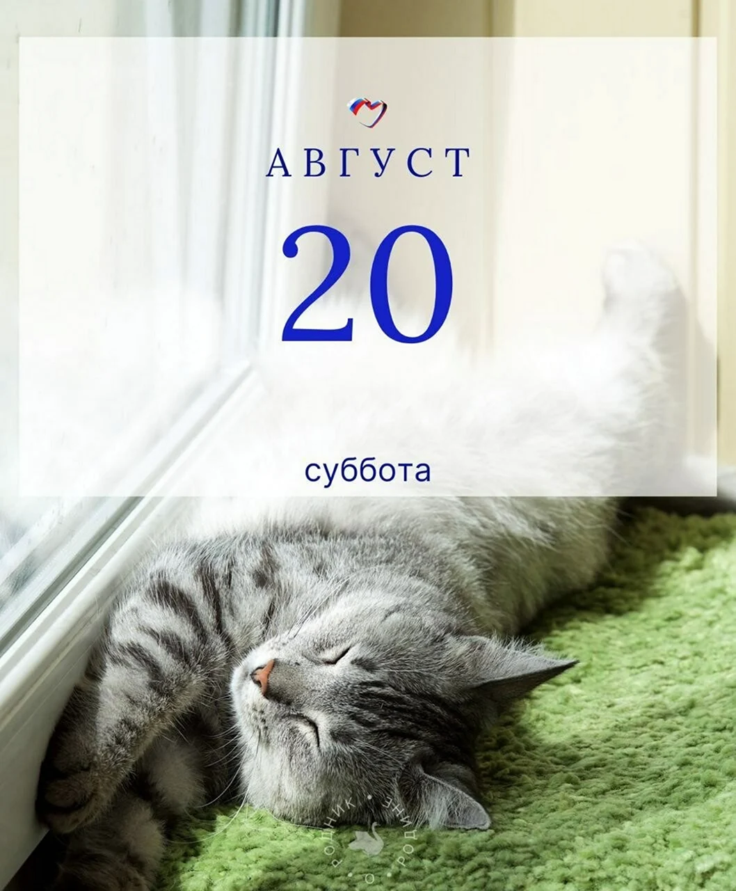 День лени