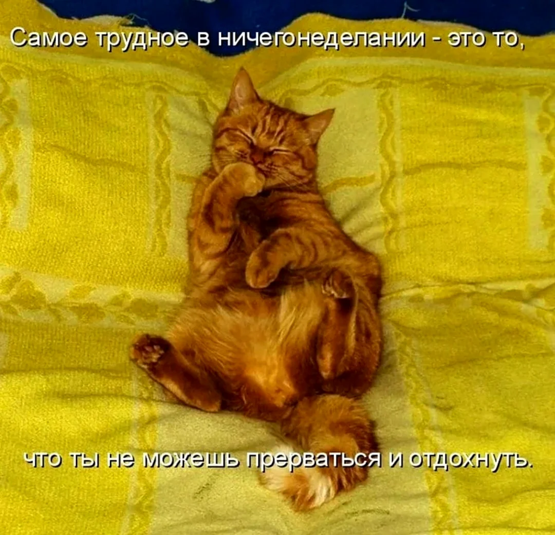День ничегонеделания