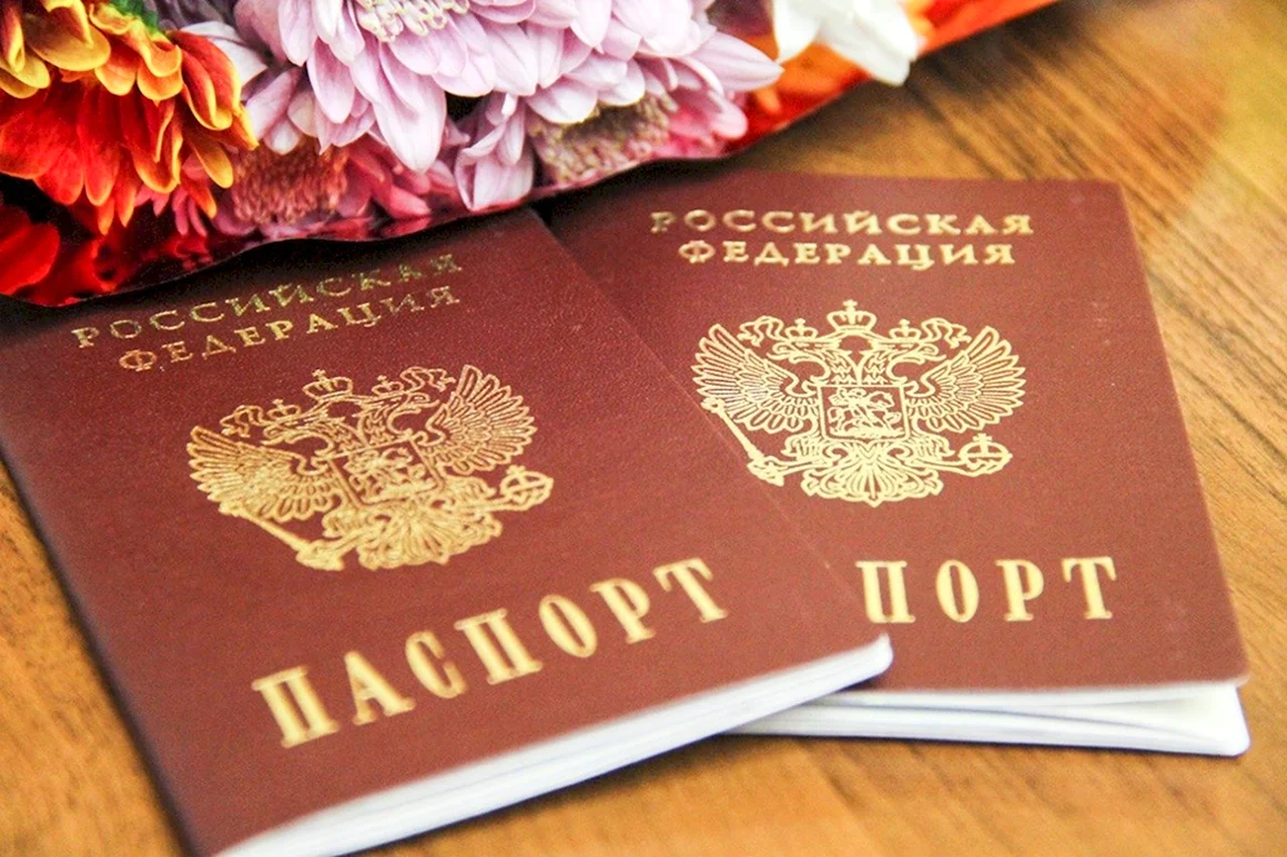 День паспорта