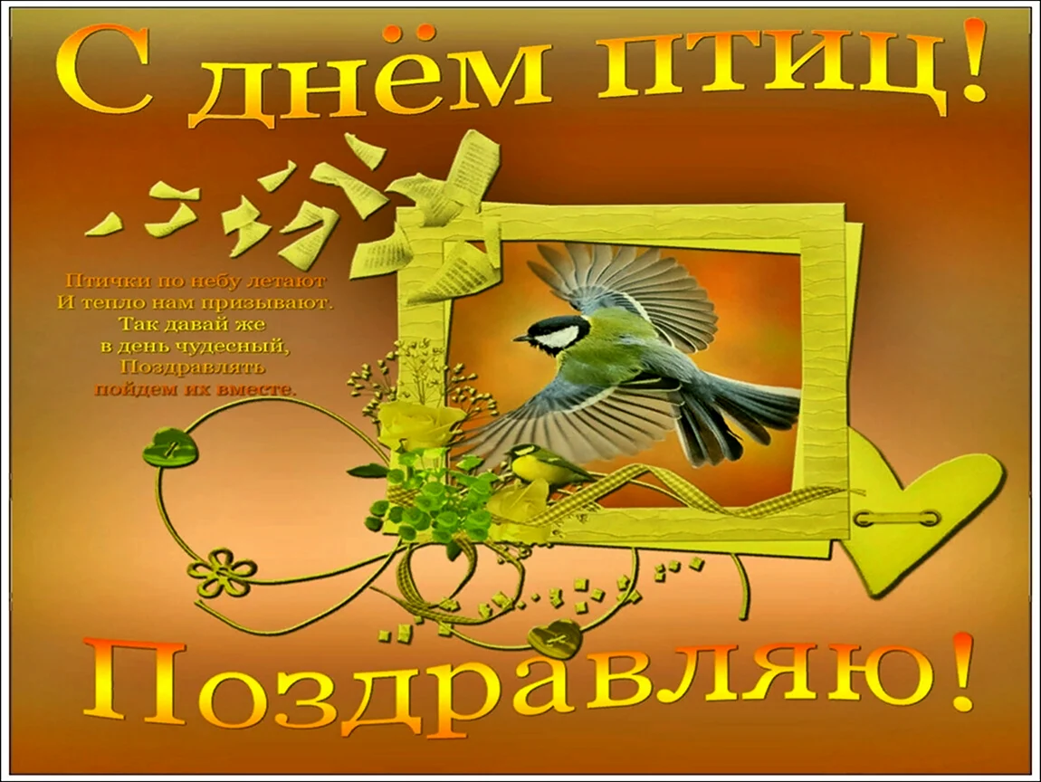 День птиц