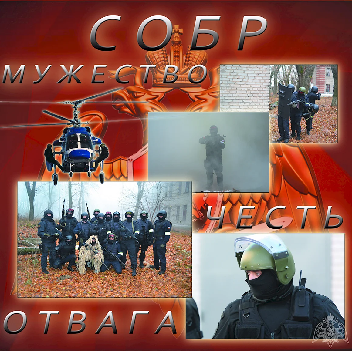 День СОБРА