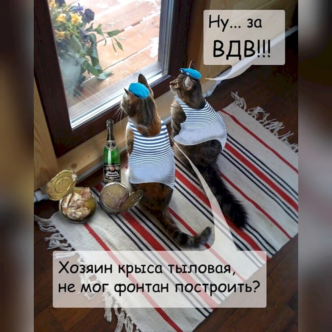День ВДВ приколы