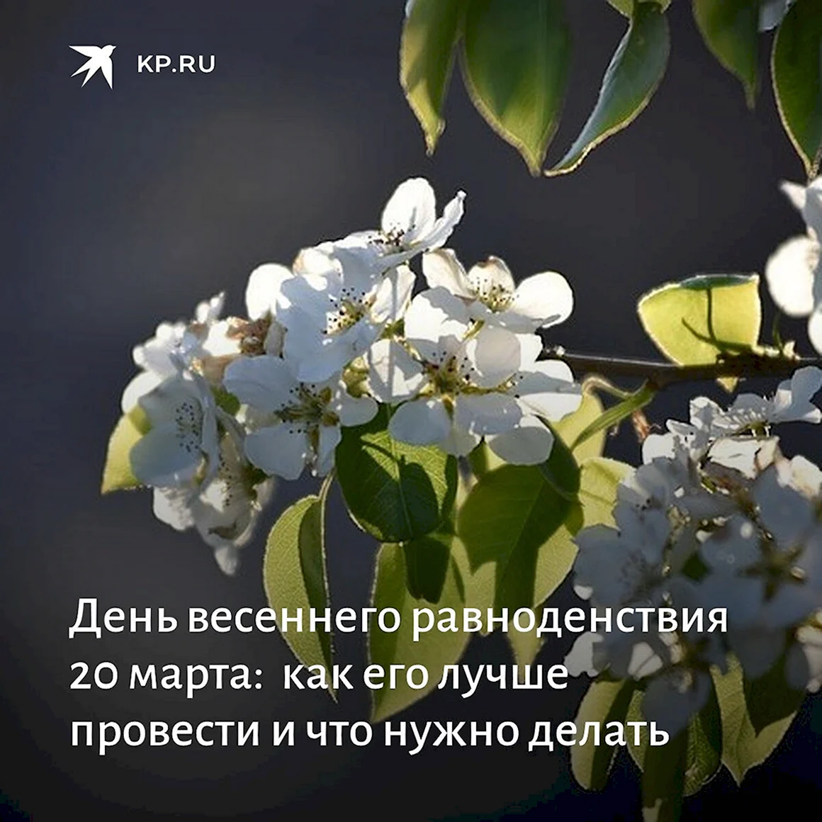 День весеннего равноденствия