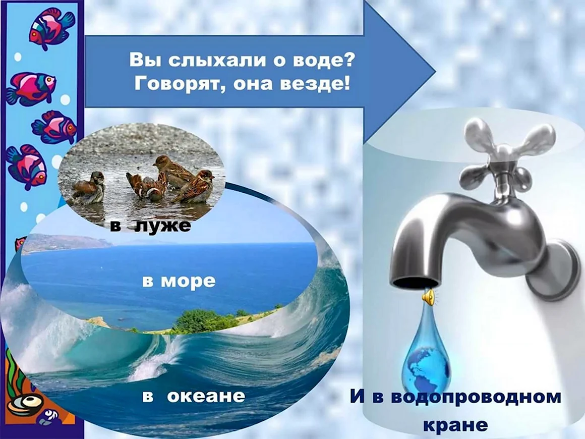 День воды