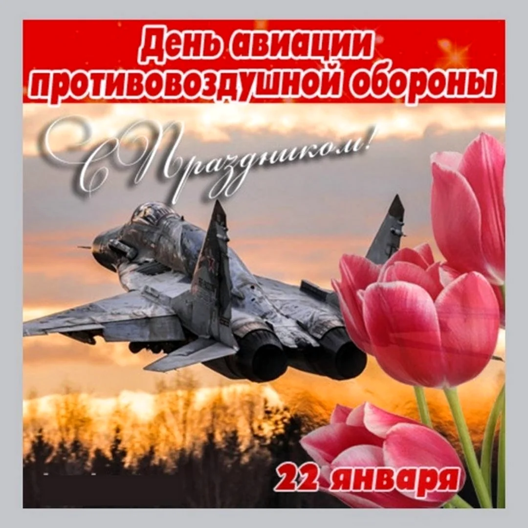 День войск авиации противовоздушной обороны РФ