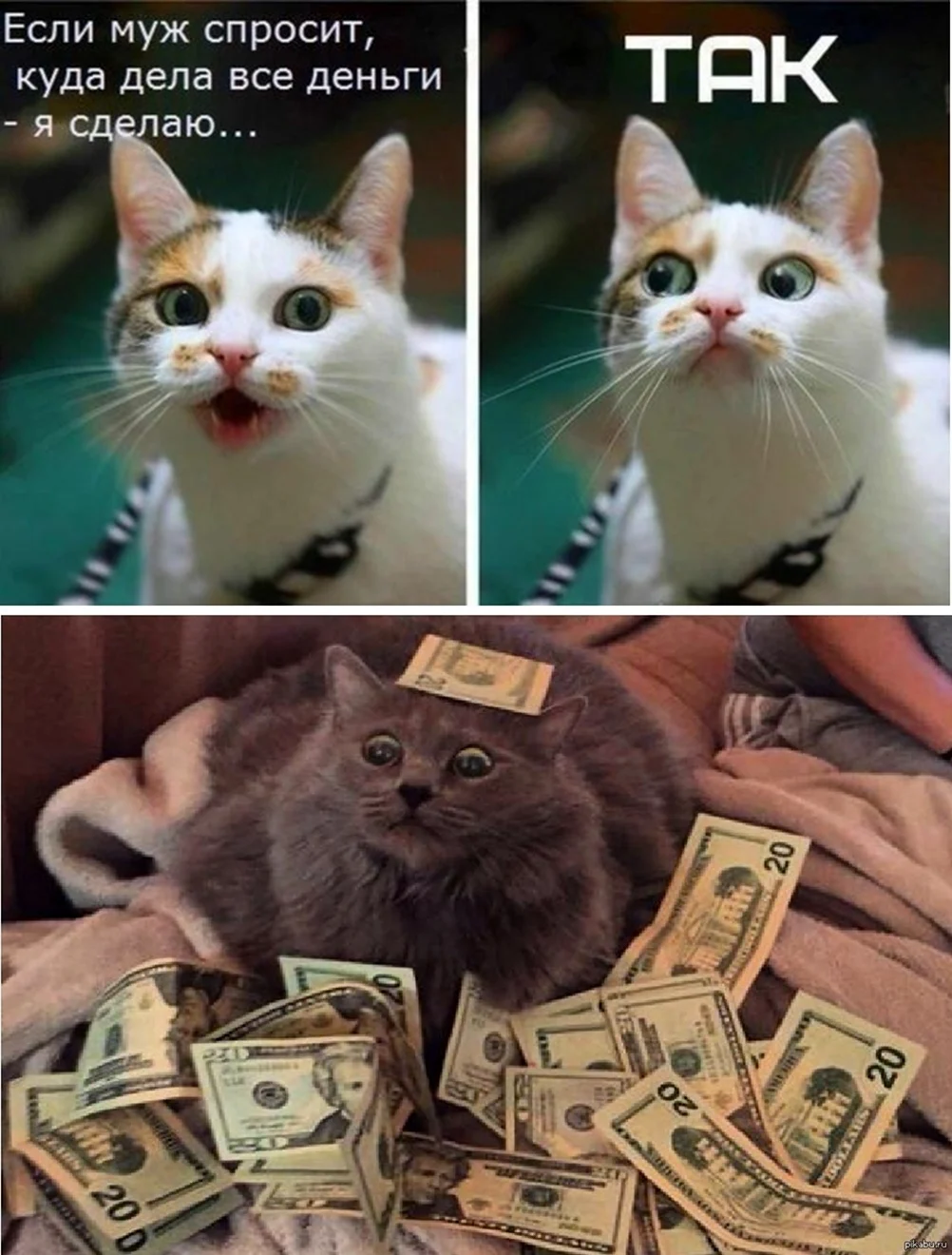 Деньги какие деньги