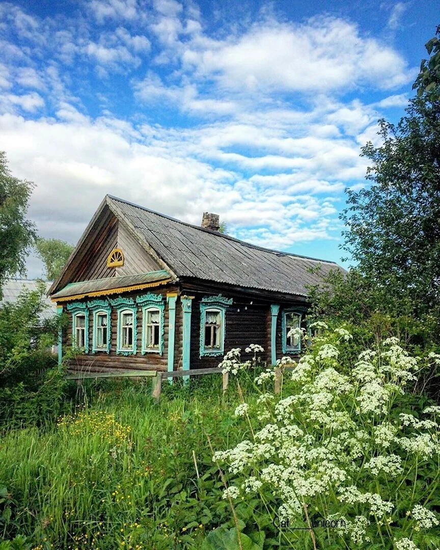 Деревенский домик Саранск