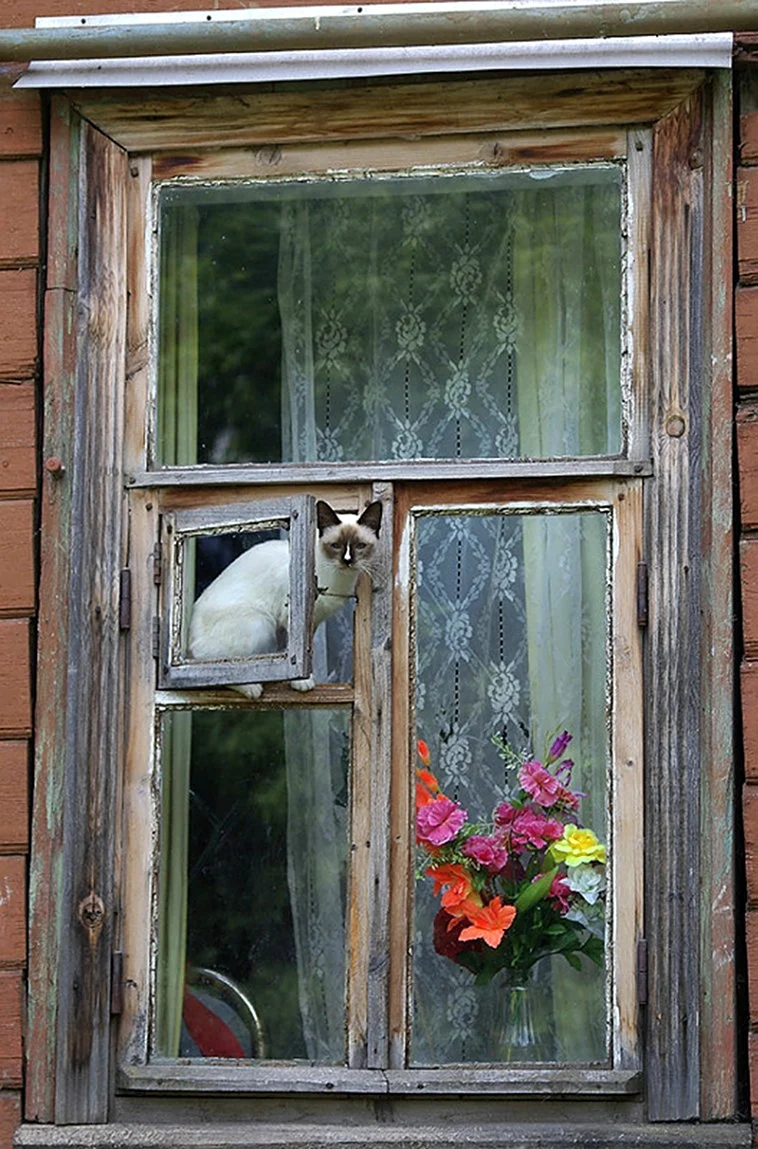 Деревенское окно