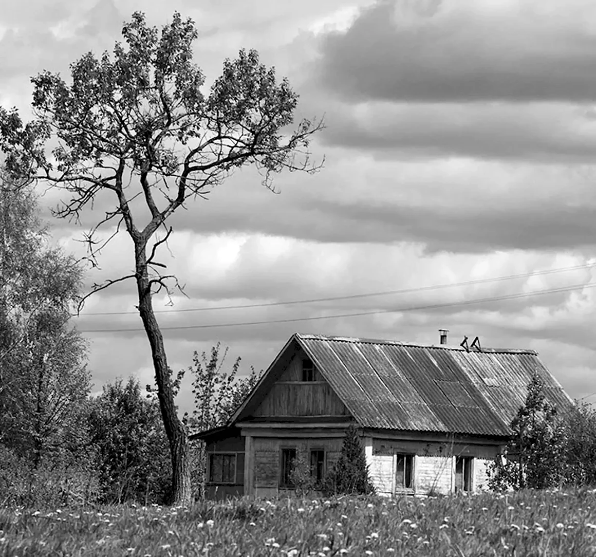 Деревня черно белая