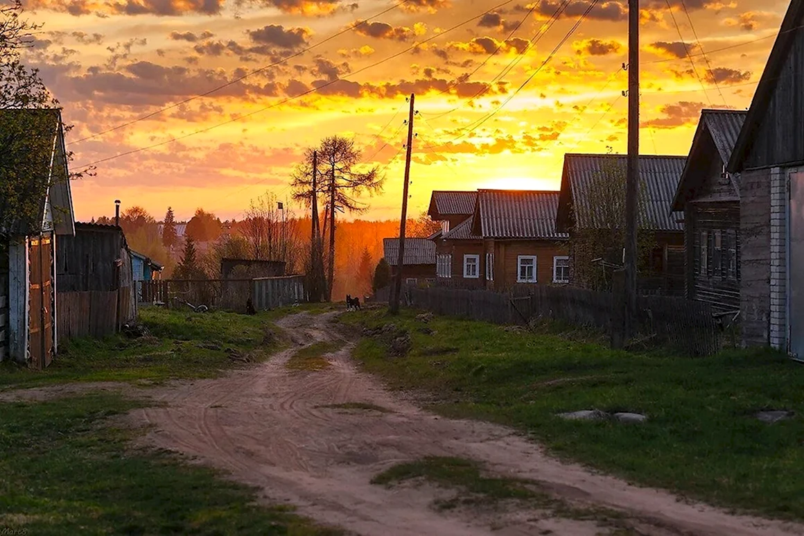 Деревня деревенька Тверская область