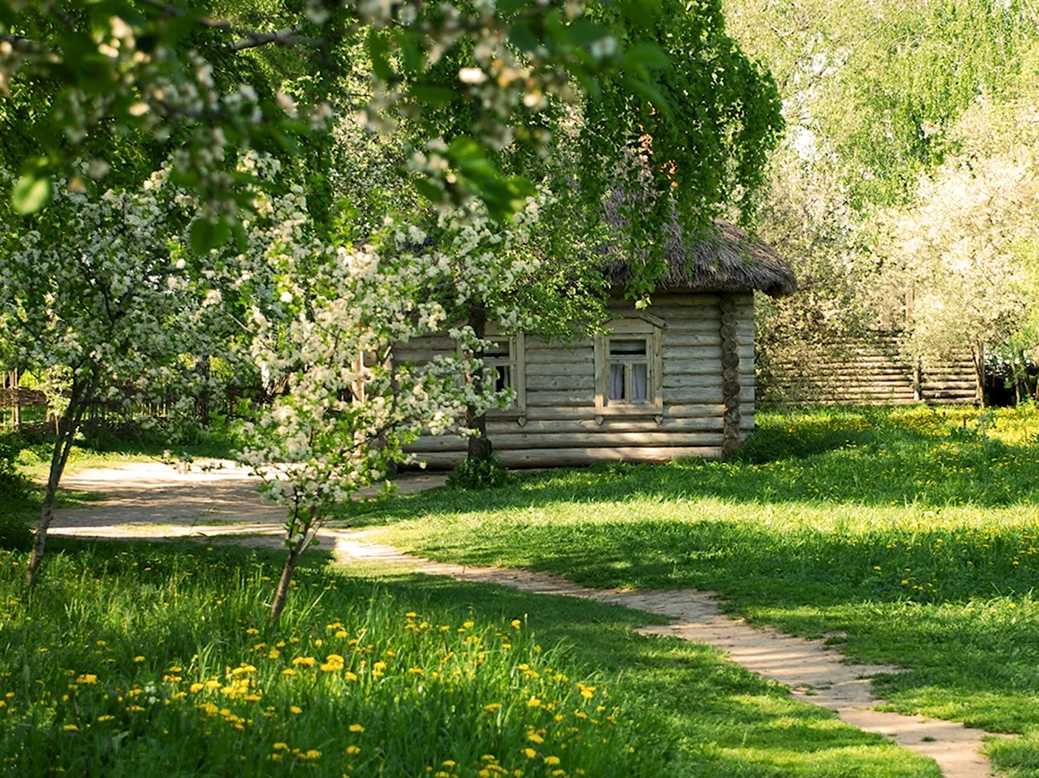 Деревня летом