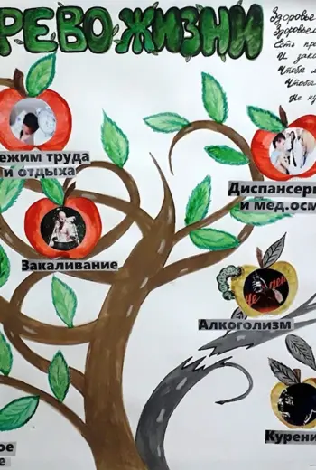 Дерево здоровья
