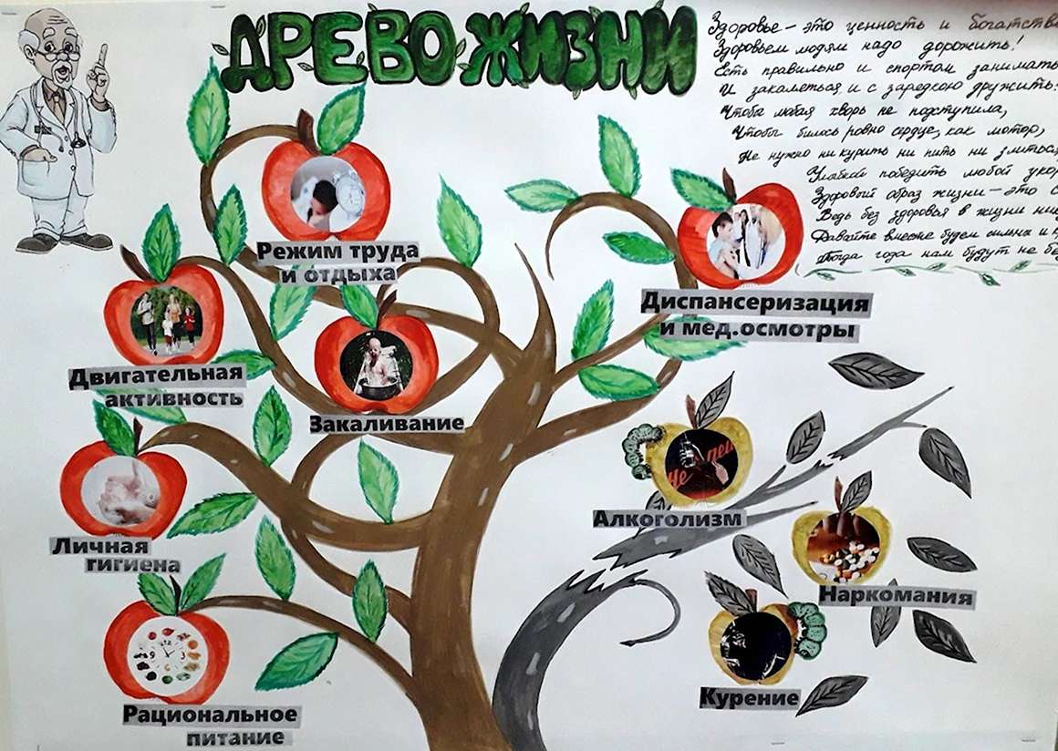 Дерево здоровья