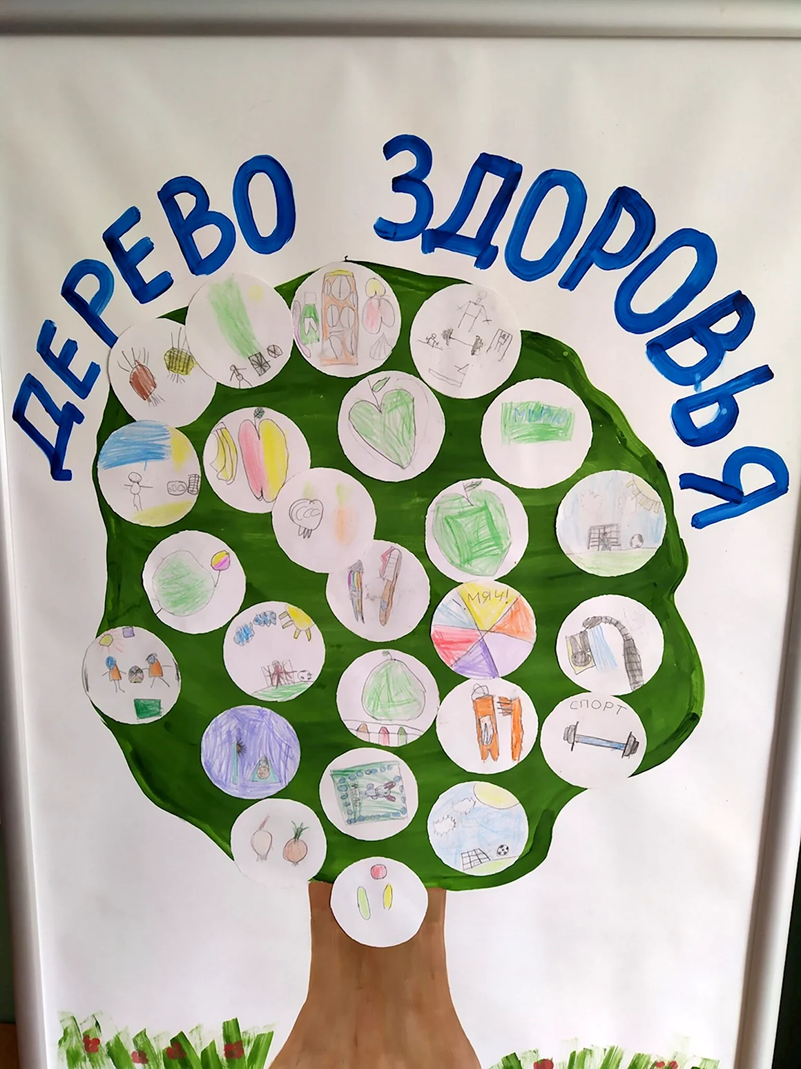 Дерево здоровья