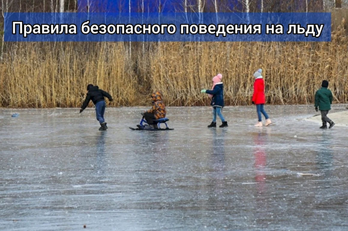 Дети на льду