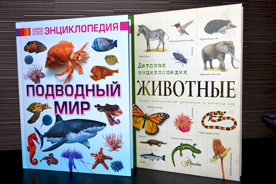 Детская энциклопедия