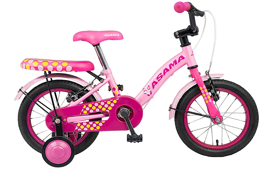 Детский велосипед Minerva Kids mp403