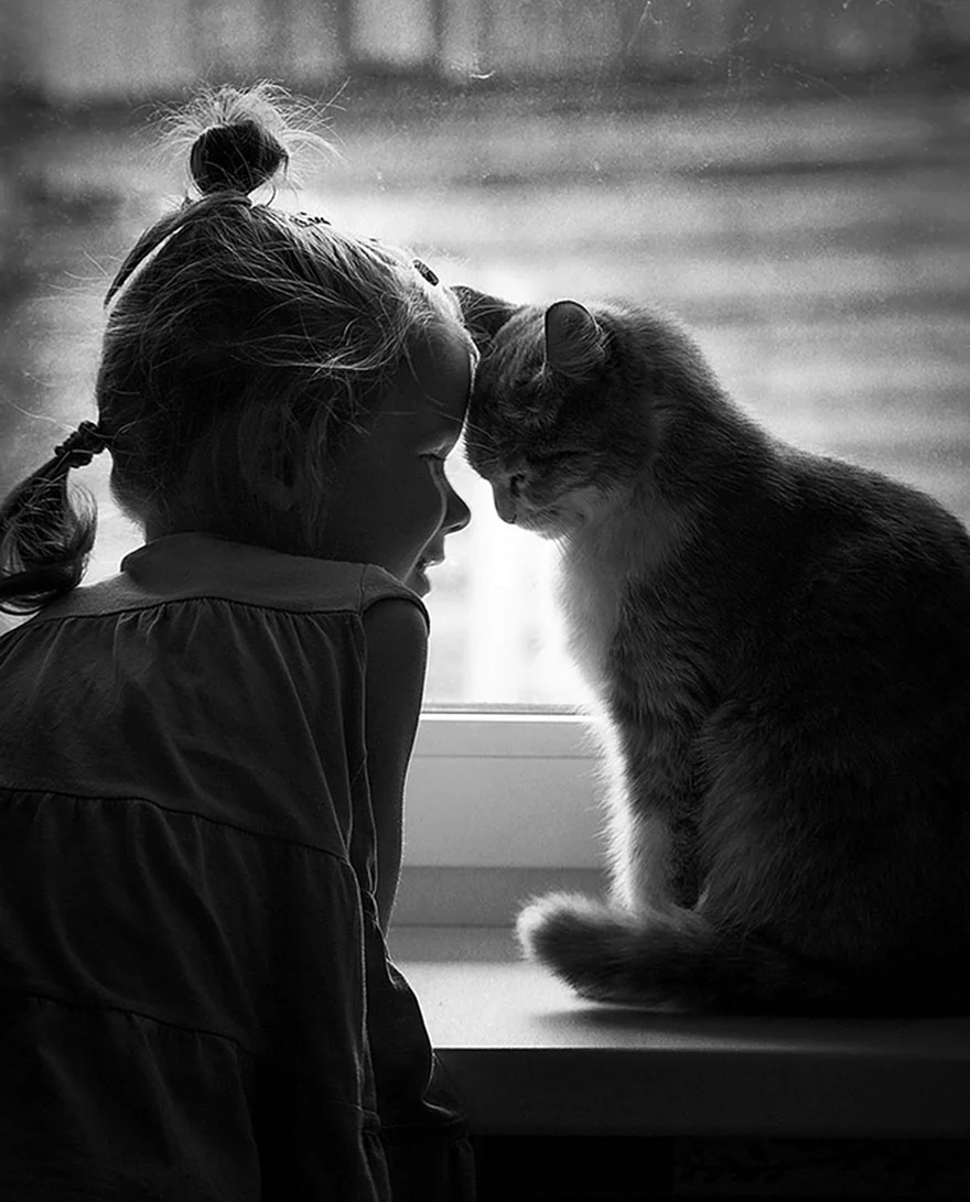 Девочка с котом