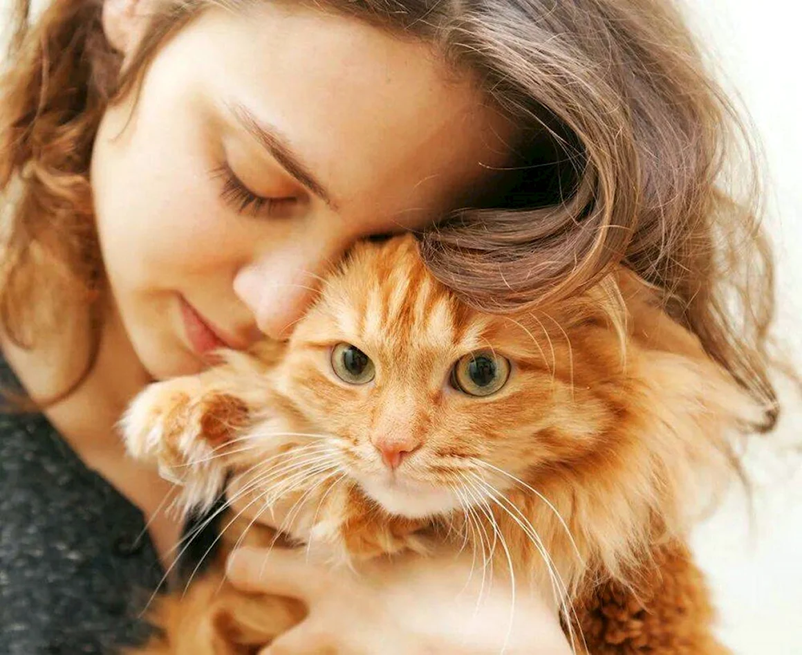 Девочка с рыжим котом