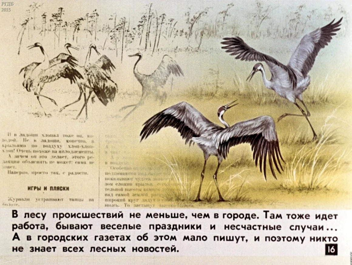 Диафильм Лесная газета