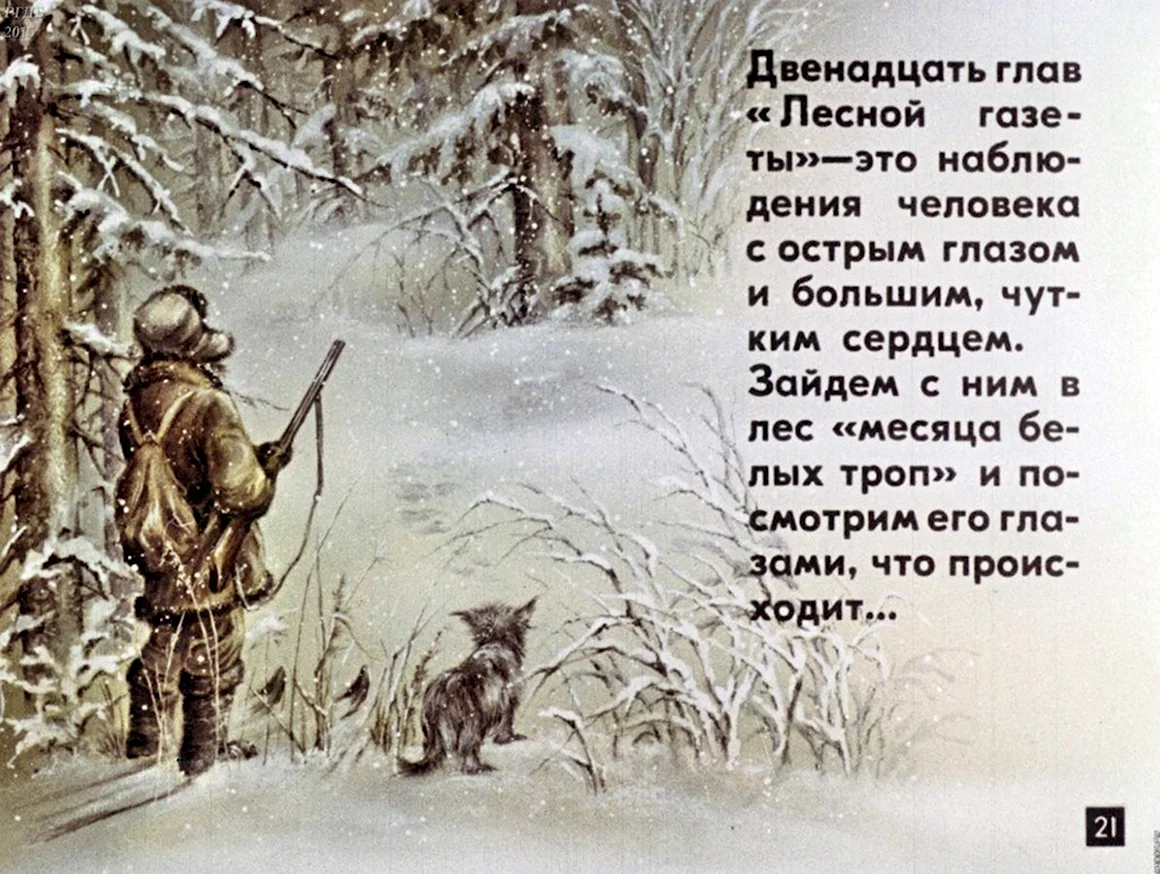Диафильм Лесная газета