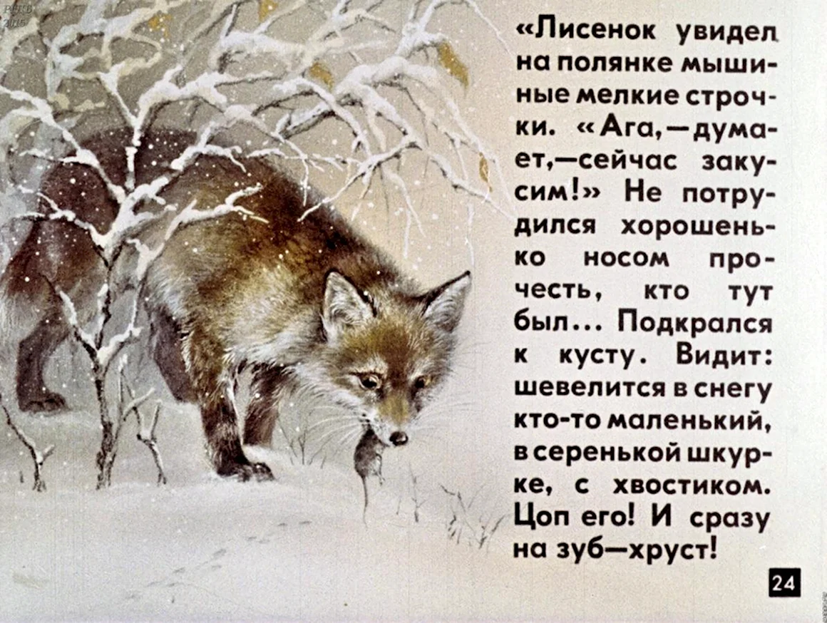 Диафильм Лесная газета