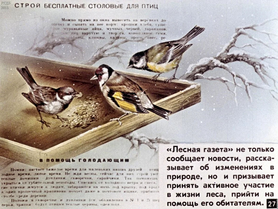Диафильм Лесная газета