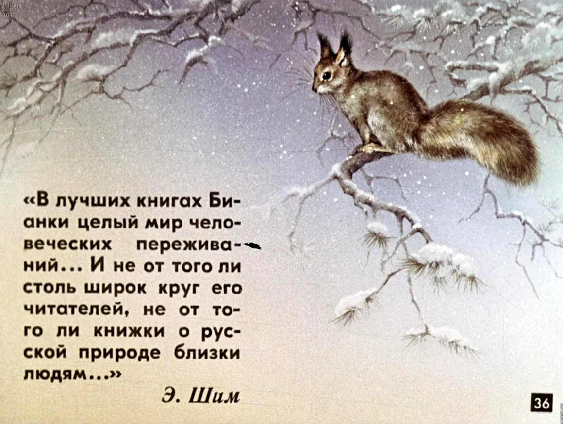 Диафильм Лесная газета
