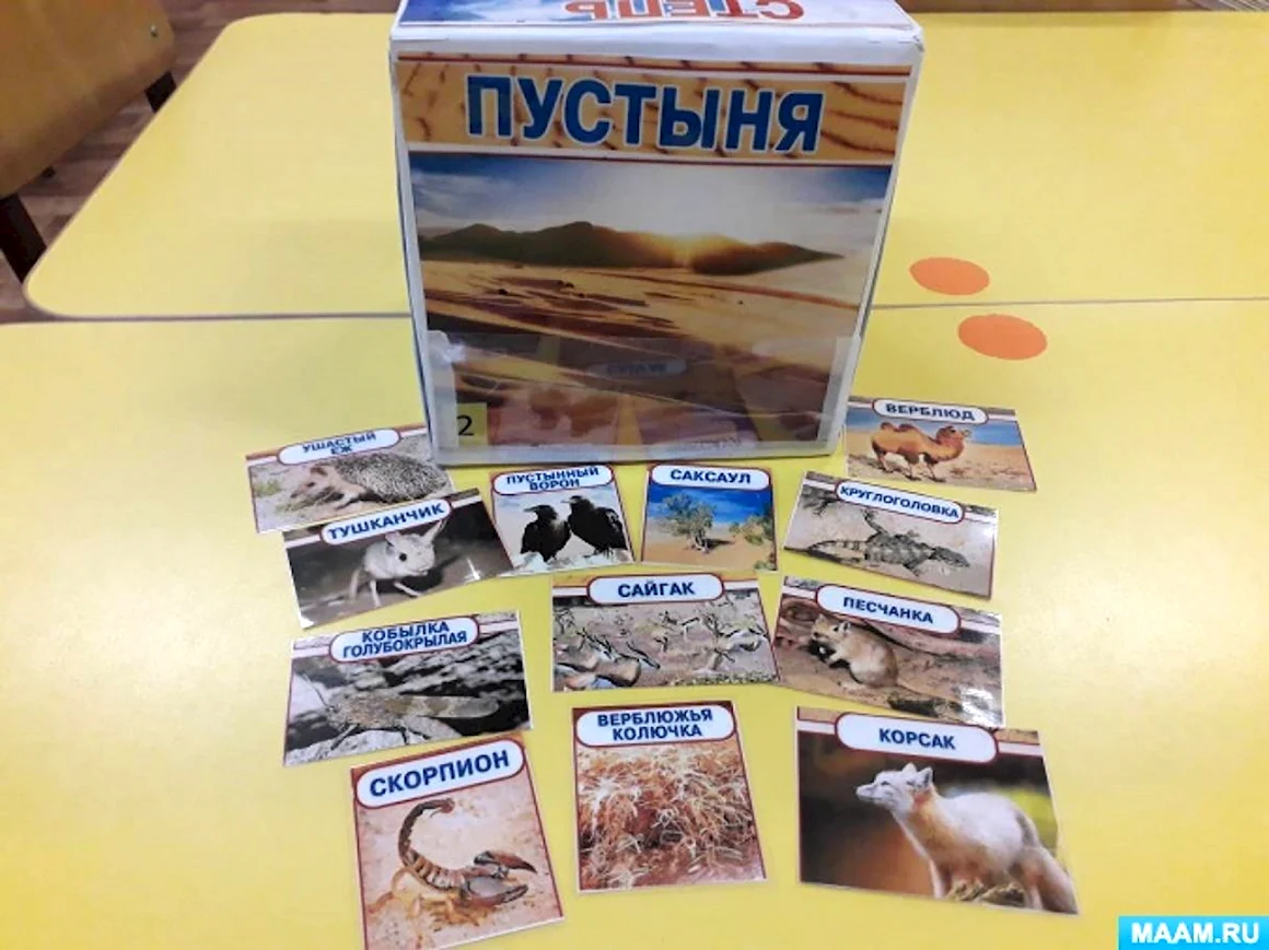 Дидактическая игра природные зоны
