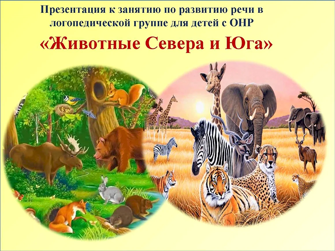 Дикие животные Юга и севера