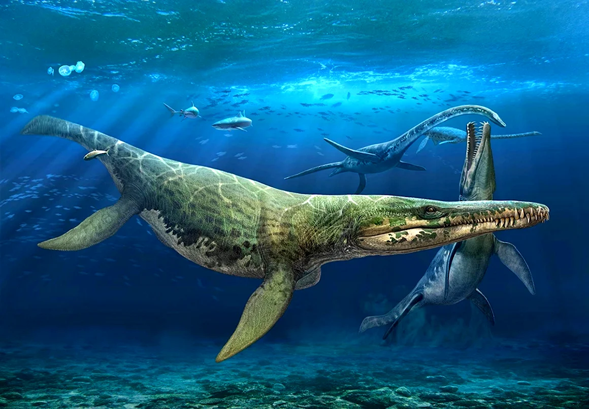Динозавры морские Плезиозавр