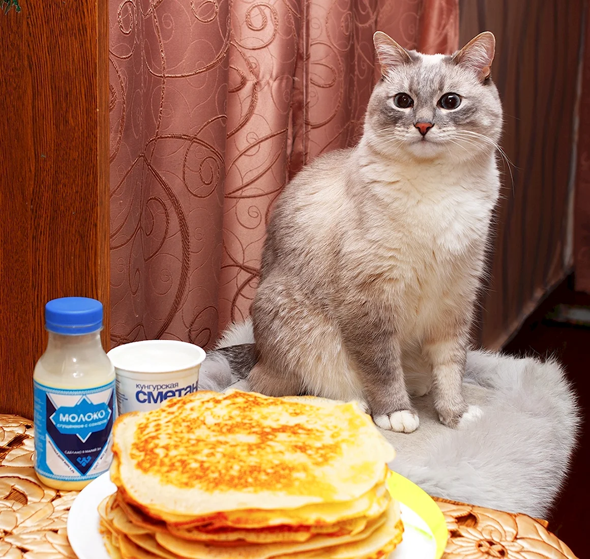 Длина кота