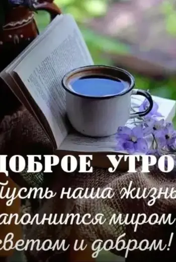 Добро утро и хорошего дня и настроения