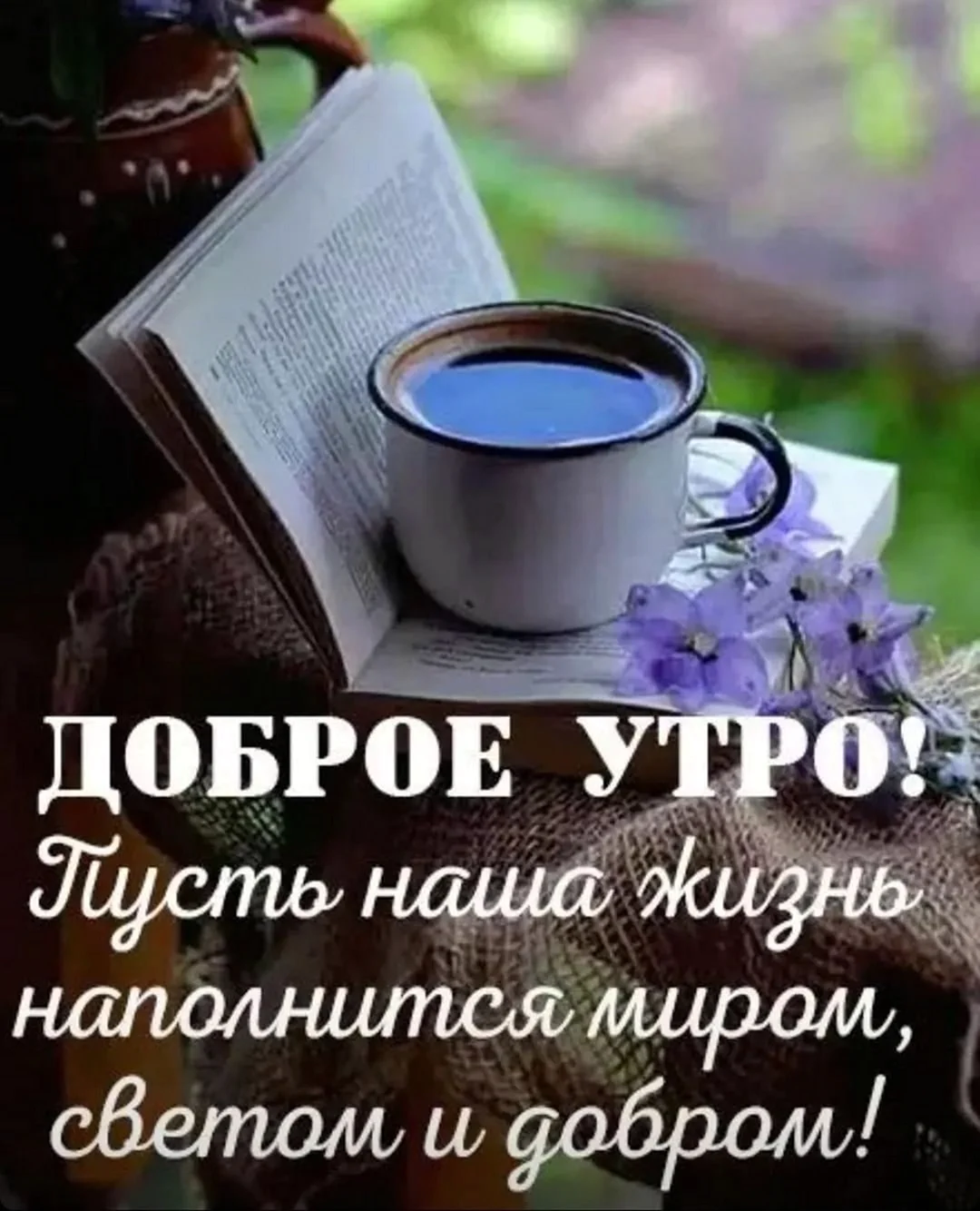 Добро утро и хорошего дня и настроения
